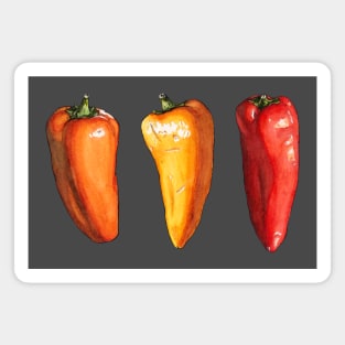 Pepper Trio Magnet